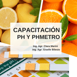 Diseno-sin-titulo-2-1 Diseno-sin-titulo-2-1