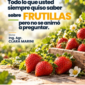 TODO SOBRE FRUTILLAS (Masterclass)