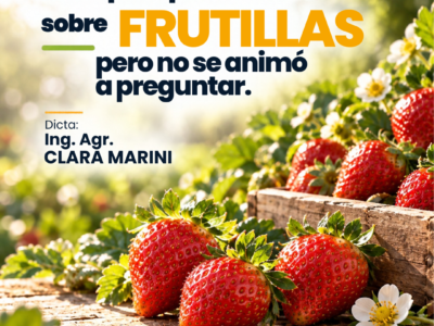 miniatura del curso